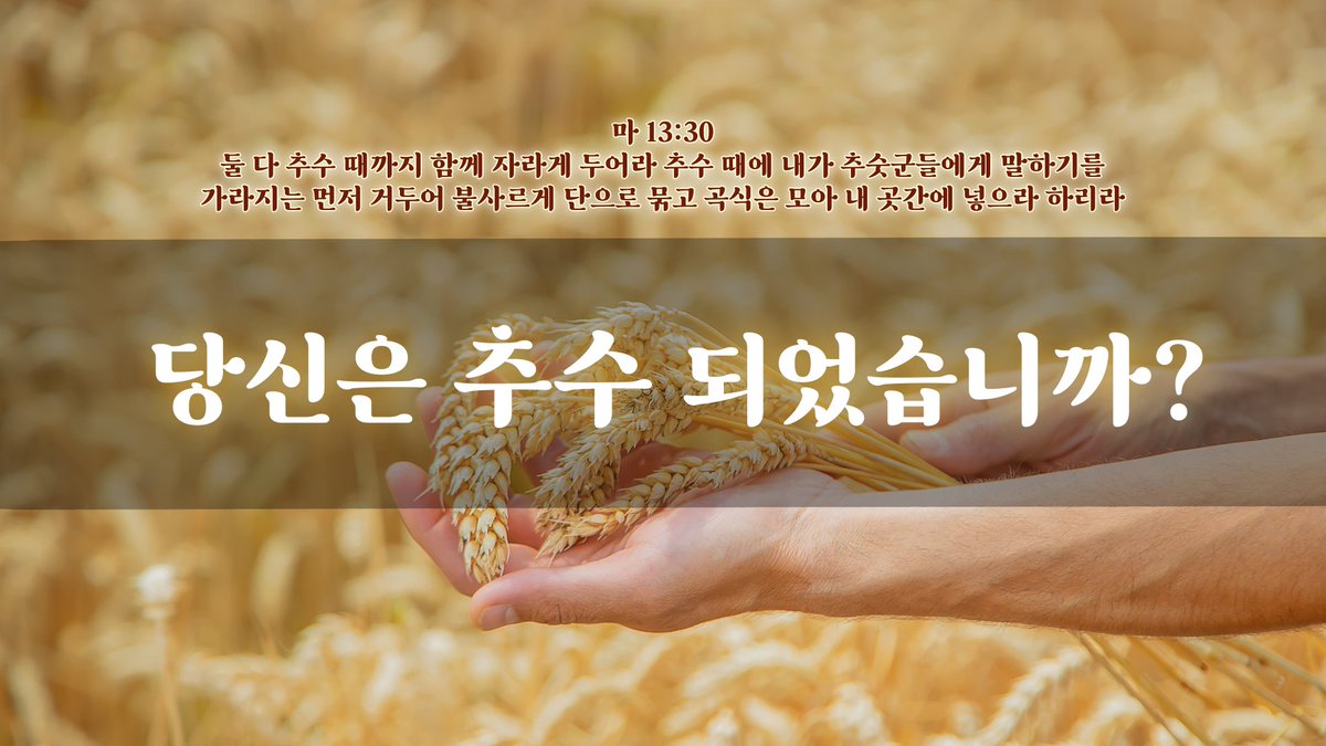 변화하는나 tweet media