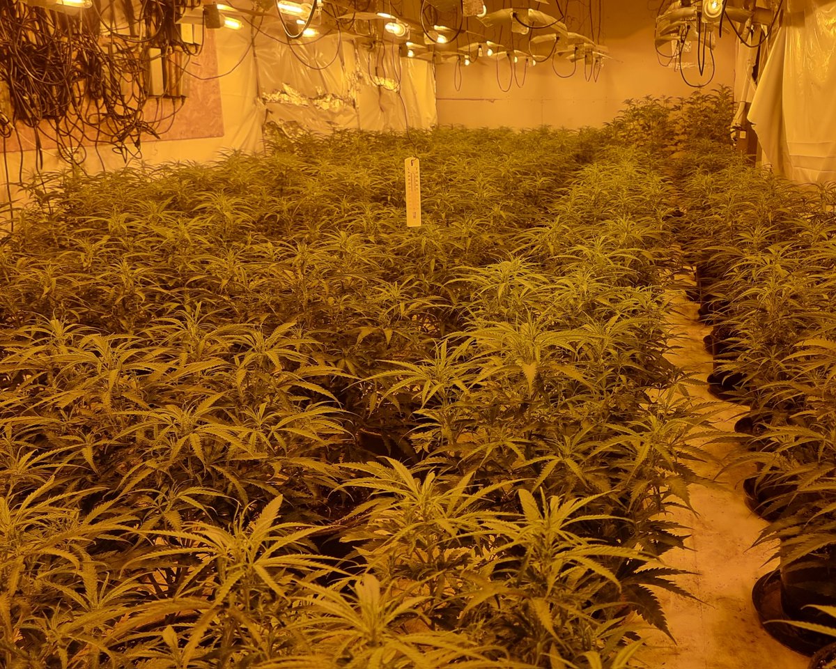 Enfield Lock Police tweet media