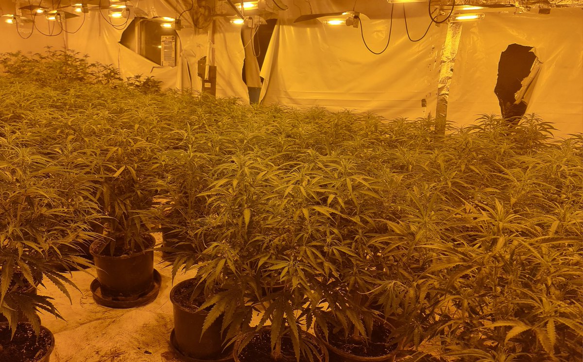 Enfield Lock Police tweet media