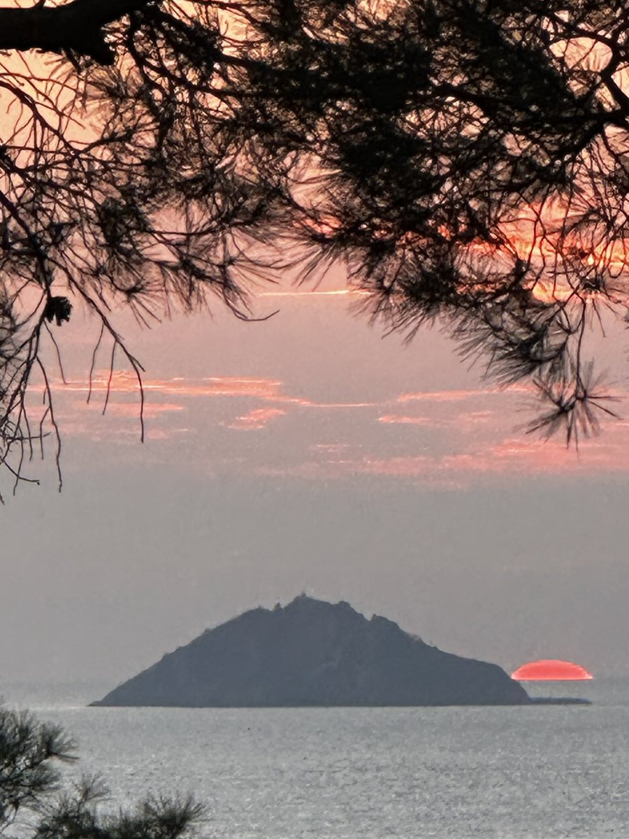 MERAK

Merak; bilinmeyene duyulan öğrenme isteğidir

Paradoks şudur:
Merak bilmeyende daha çok olan değil tersi bilende daha çok olan bir anlama arzusudur.

Yani daha çok bilen, daha çok merak eder.

Bilim, cevap bulmaktan çok, yeni sorular sorarak, merağı anlamaya