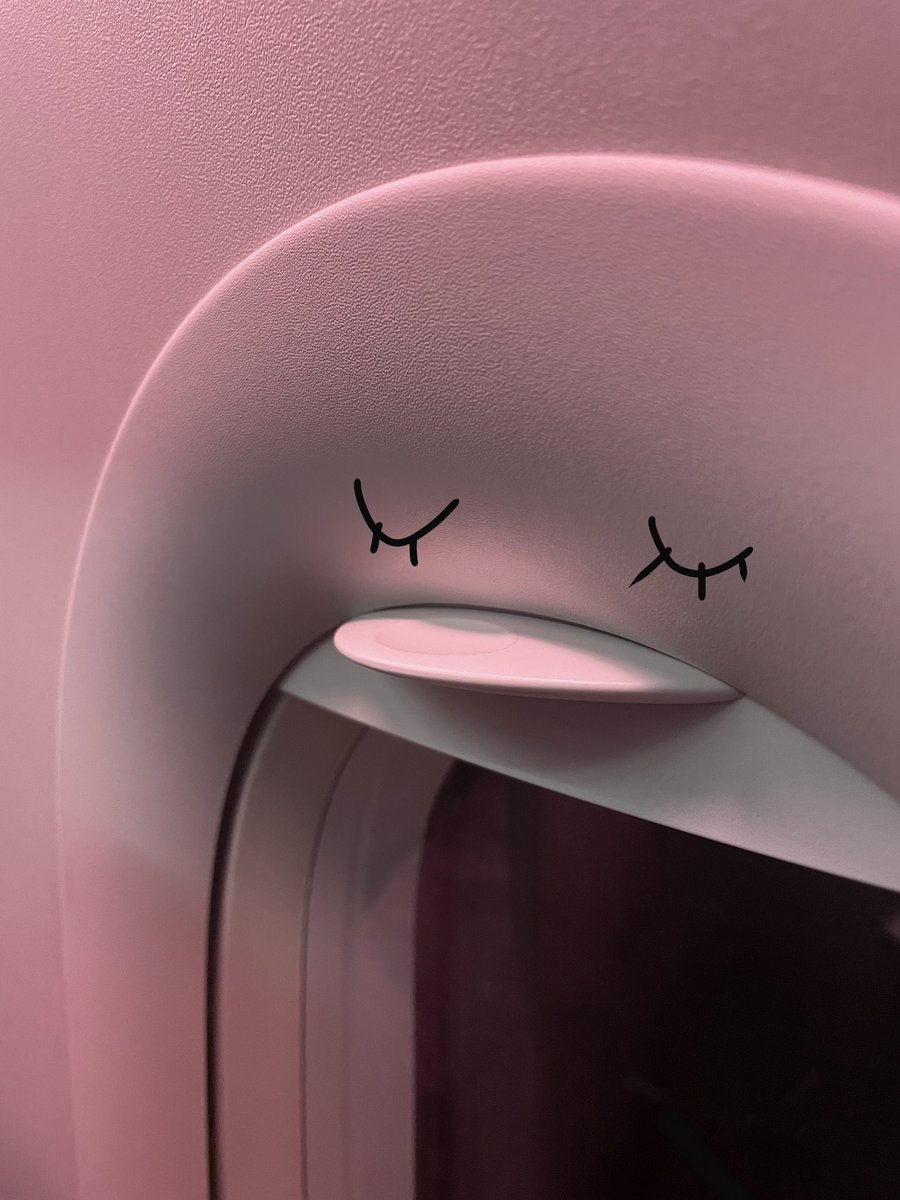 Spotted a sweet little birdie on my flight.