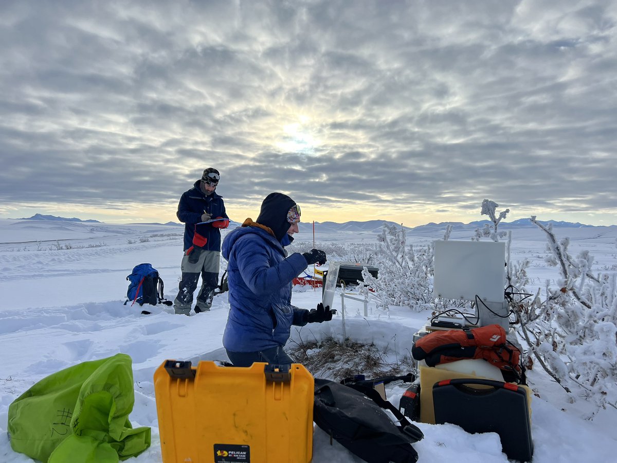 Sveta Stuefer tweet media