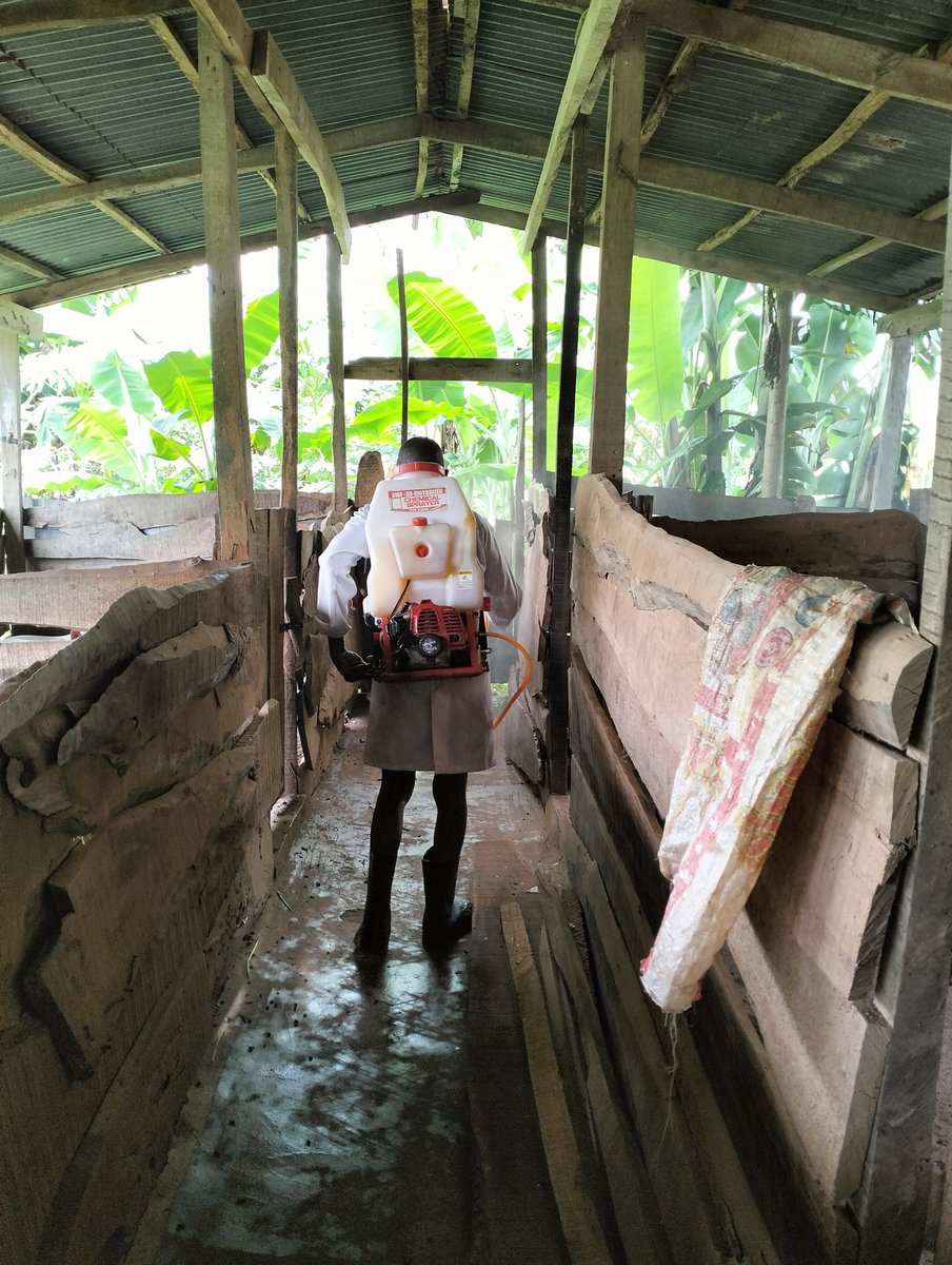OgunServices's tweet photo. Subsequent to the confirmation of African Swine fever ASF in Ajegunle pig farm settlement in Abeokuta Ogun state, the Rapid Response Team of the department of Veterinary Services Ministry of Agriculture Ogun State was on ground to decontaminate all affected pen houses. https://t.co/FAGrBBXZfK