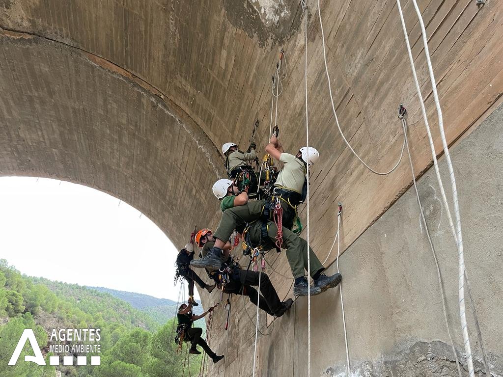AAMM_And's tweet photo. Esta semana nuestros #AAMM de la #UVCA han realizado un completo curso de «Técnicas avanzadas y auto-rescate en trabajos verticales»
El conocimiento y dominio de estas técnicas resultan imprescindibles para realizar en condiciones de seguridad las misiones en trabajos verticales. https://t.co/OiFzA30gy9