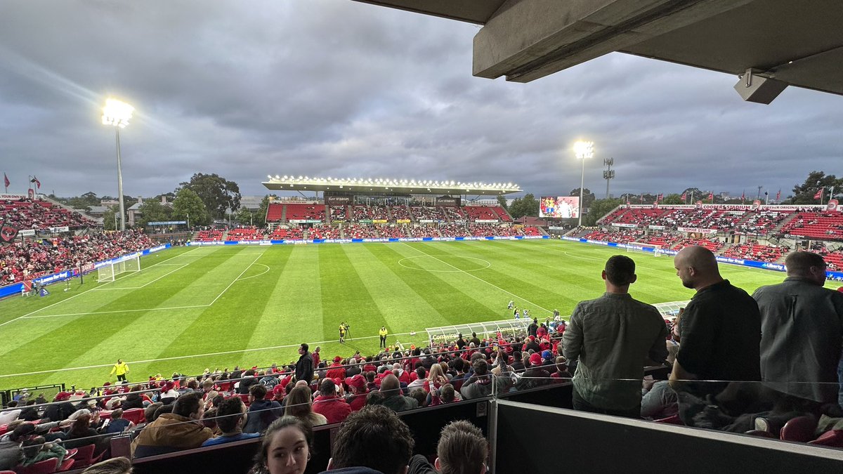 Dj Nikolic tweet media