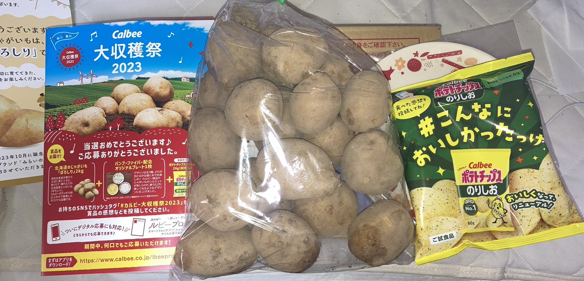 ebizori's tweet photo. じゃがいも2kg当たった https://t.co/SyGUENtLjO