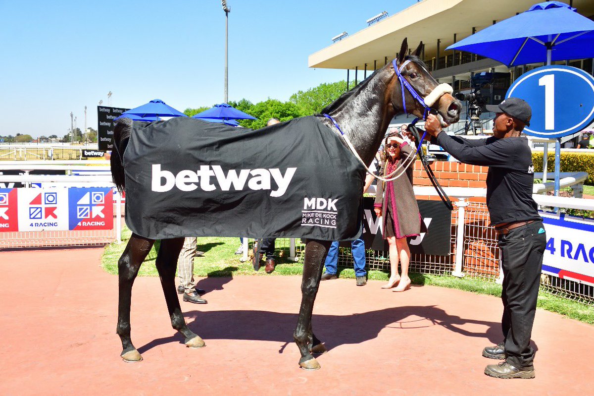 Champagne Cocktail (photo) takes a big step up from her Maiden win to a competitive handicap today. We expect her to give a good account. Runner comments, sponsored by <a href="/Betway_za/">Betway ZA</a> <a href="/BlumbergJb/">JB</a> here: mikedekockracing.com/2023/10/21/run…