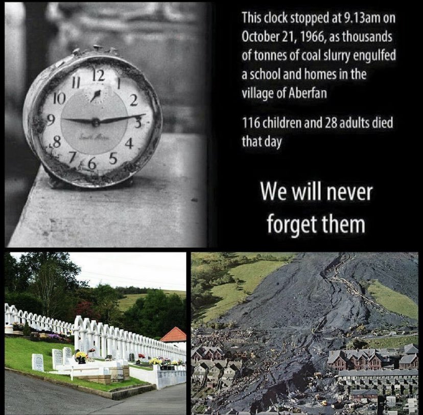 Time Steps Living History tweet media