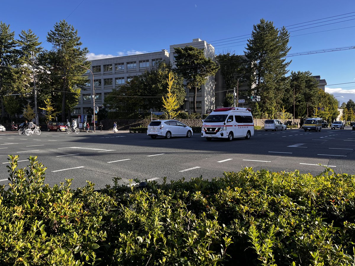 なつかしみで大学周辺を散歩してます