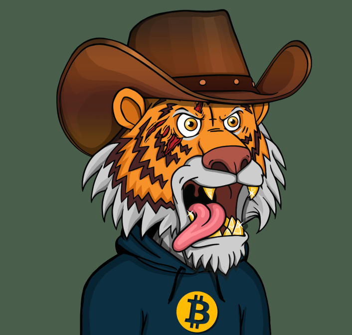 semra akkoz tweet media