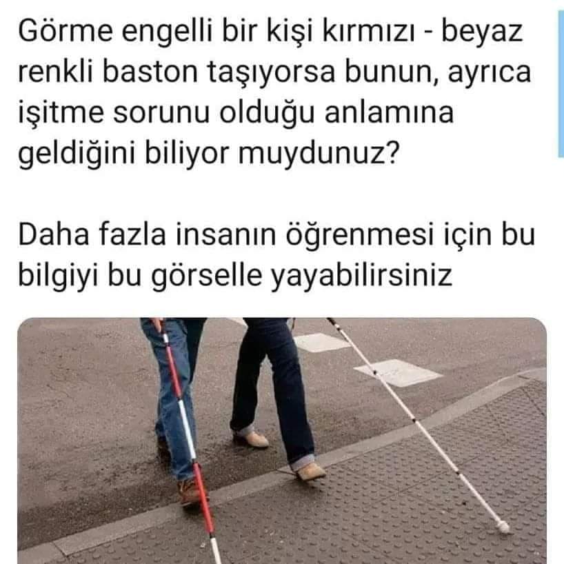 Fazıl Orçun Çınar (@faz_orcun) on Twitter photo 