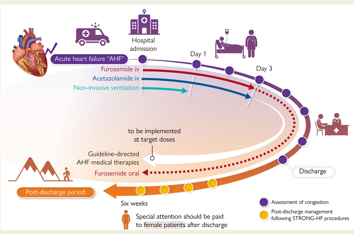 EHJ Editor-in-Chief (@ehj_ed) on Twitter photo Acute heart failure represents the most frequent cause of unplanned hospital admission in patients older than 65 years. Current pharmacological treatment and perspectives are herein overviewed
#HF #heartfailure #cardiotwitter <a href="/ESC_Journals/">European Society of Cardiology Journals</a> <a href="/escardio/">European Society of Cardiology</a> Acute heart failure represents the most frequent cause of unplanned hospital admission in patients older than 65 years. Current pharmacological treatment and perspectives are herein overviewed
#HF #heartfailure #cardiotwitter <a href="/ESC_Journals/">European Society of Cardiology Journals</a> <a href="/escardio/">European Society of Cardiology</a>
