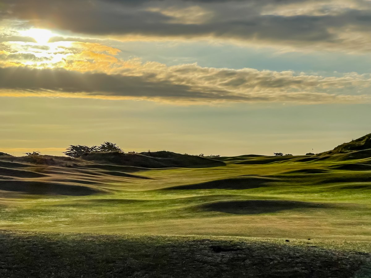 stenodocgolf tweet media