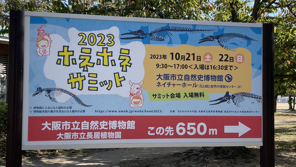 今日明日、大阪自然史博物館で、駿河ほねほね団として、ホネホネサミット出展
みどころはホネパズル🧩🧩
鹿🦌の手根骨パズルと、アライグマ🦝の歯🦷をひたすらはめ込んでいく！！関西の方、遊びにきてね🦴🦴🦴他の出展者の方の展示もガチヤバすぎてやばいよ！
omnh.jp/wada/hone2023/