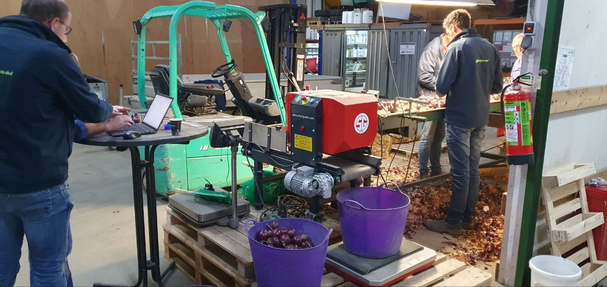 Afgelopen week de laatste proeven van dit teeltseizoen buiten in het veld en binnen in de kas bekeken en in de schuur aardappelen en uien gesorteerd en gewogen om resultaten te verzamelen <a href="/Syngenta_BNL/">Syngenta Benelux</a> <a href="/Profytodsd/">Profytodsd</a> #biostimulanten #vergroening #kwaliteitbeweegtons