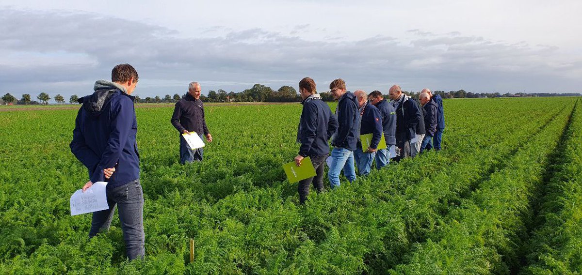 Holland Fyto tweet media