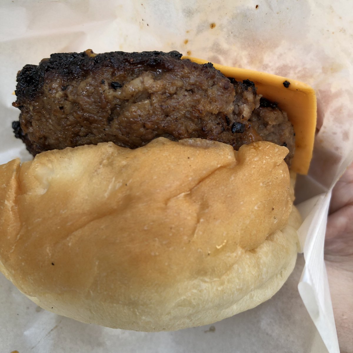 acehat's tweet photo. 散歩で隣町の食の祭りへ。煮込ハンバーグと馬肉バーガーとソーキそばと杏仁豆腐で満腹。生ソーセージ焼きと羊串とかき氷も魅力的だった。 https://t.co/vUBxAjJP8W