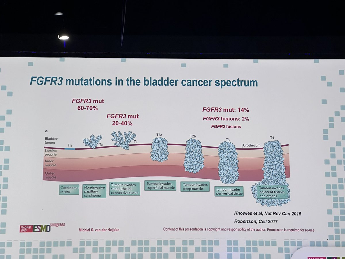 🔵Does the higher prevalence of FGFR mutations in non-muscle invasive bladder cancer (NMIBC) while being less common in advanced stages indicate a lower likelihood of progression in patients with mutations? 

🔵Is there a need to conduct mutation analysis again during disease…