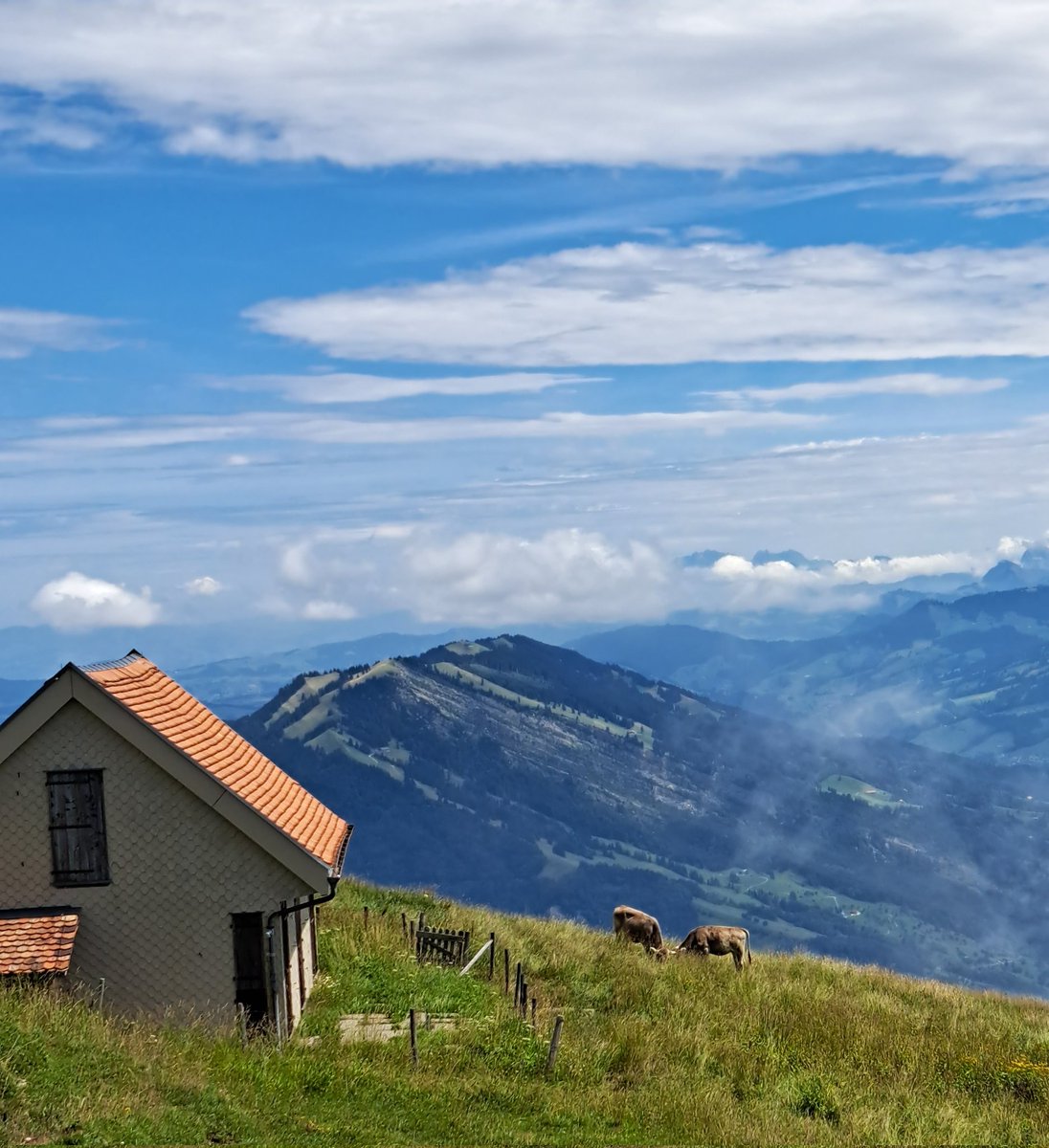 Guten Morgen Twitterleins. 

Schön ist es, wenn man ausschlafen darf. Deshalb ist es weniger toll, wenn man seit 6 Uhr wach ist. Soviel zum ausschlafen. 
Kaffee?!

Einen wunderschönen Samstag wünsche ich euch!