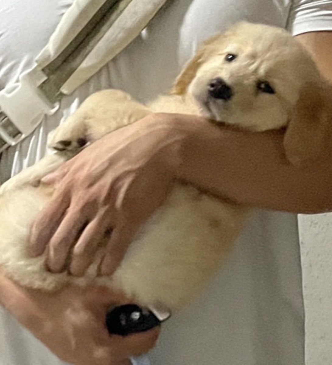 ก้จะนอนทั้งวัน มีอะราย