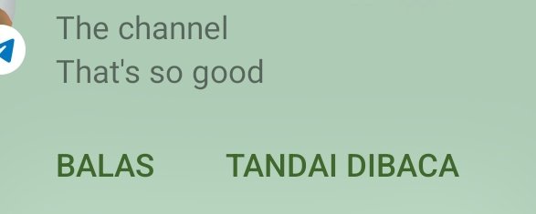 Selera bokep gua cakep