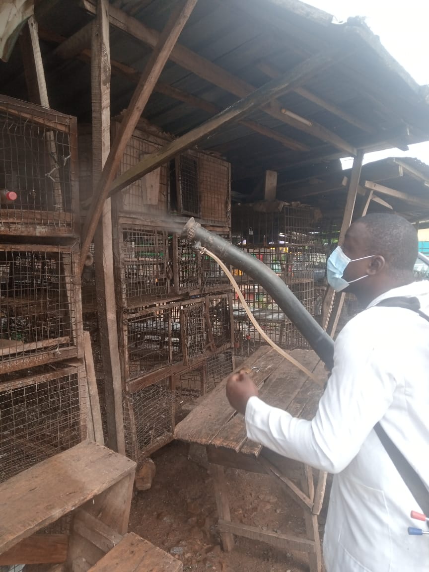 OgunServices's tweet photo. Earlier this month, the Rapid Response Team of the Department of Veterinary Services Ministry of Agriculture Ogun State decontaminated Live bird markets across the State in a bid to tackling the issue of poultry Disease outbreaks. @nvrivom @WOAH @FAONigeria #AvianInfluenza #ogsg https://t.co/cvnCceXuwl