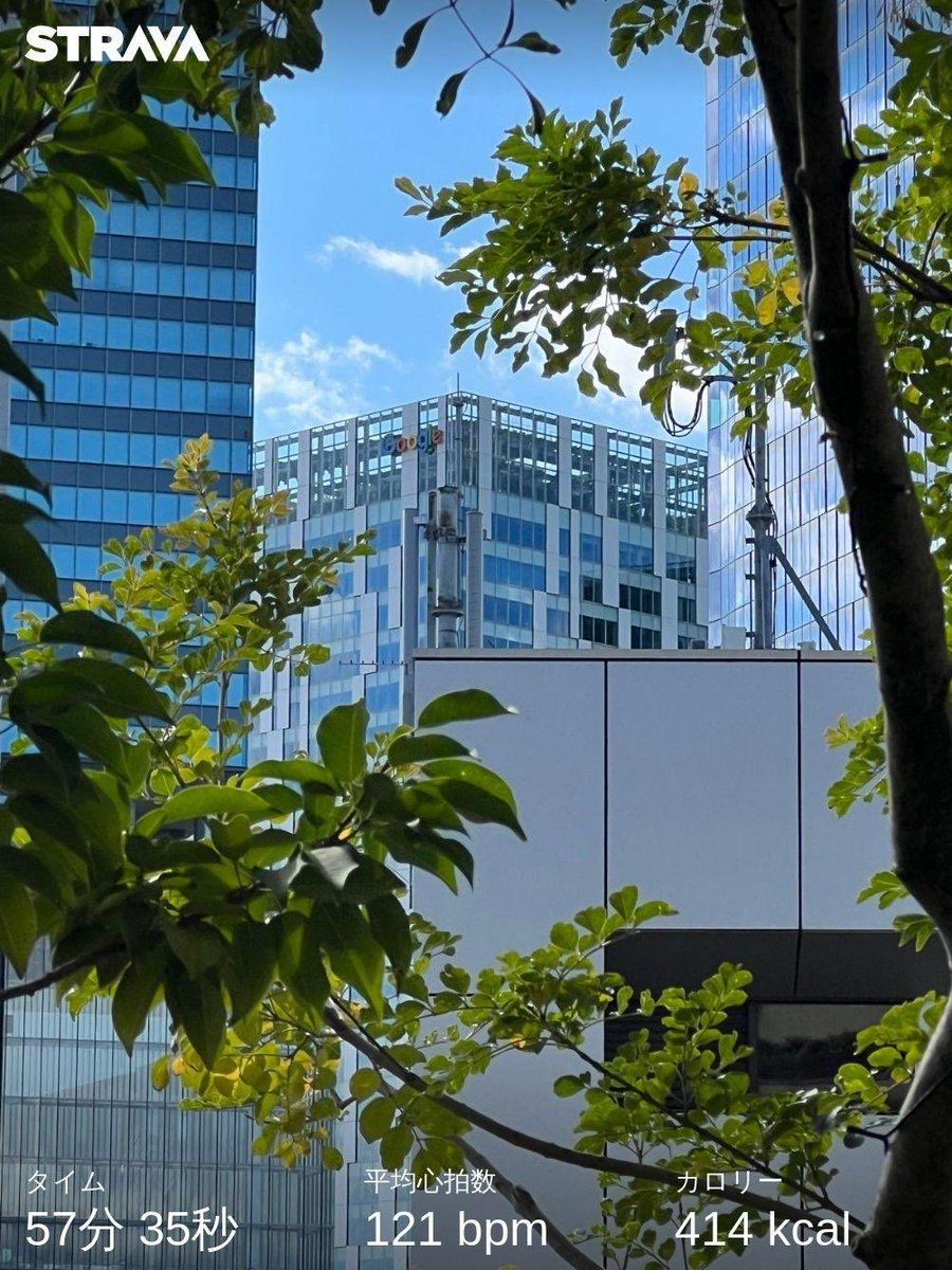 SavvyRunner's tweet photo. I see you #Google Tokyo

#workout #session https://t.co/kEMTGlbmqA