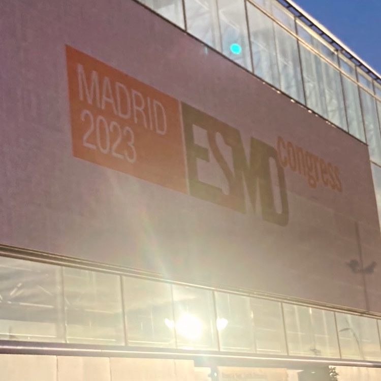 Jozefina Casuscelli tweet media