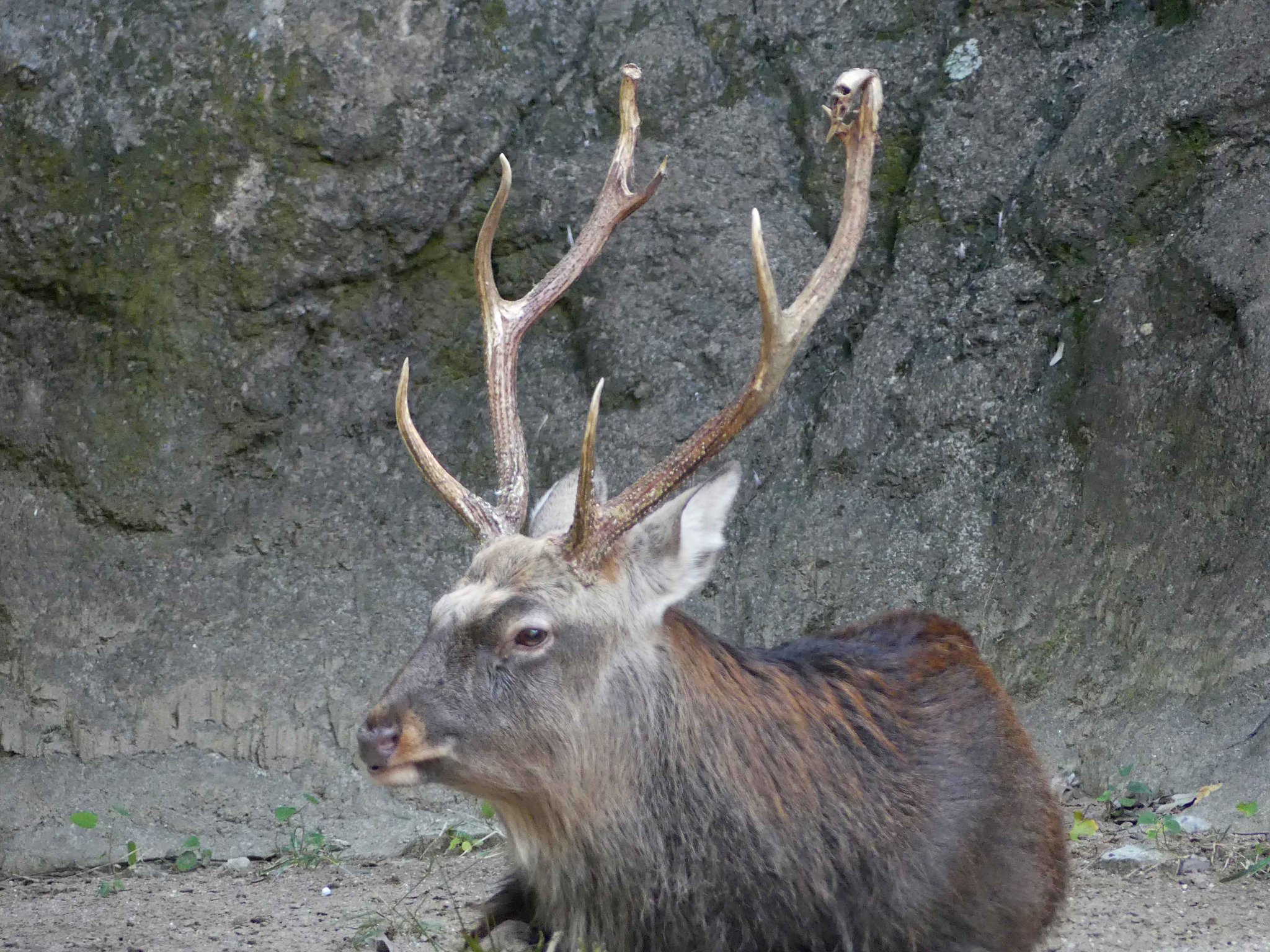 F88qCqqbkAAD2O6.jpg:large