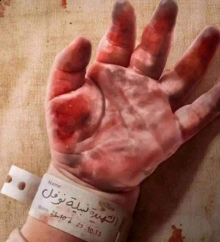 samsud313's tweet image. Al-Shaheeda&apos;h Nabeela&apos;h Nofel.

Date of Birth : 06-10-23.
Date of Shahada&apos;h : 13-10-23.

#GazaBleeds #PalestineGenocide