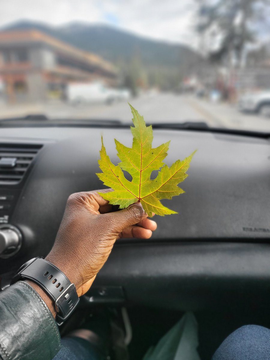JayPretchard's tweet photo. It's time to travel Canada 🇨🇦. Prof. Rita Yembilah here... https://t.co/qqKAvcqmzJ
