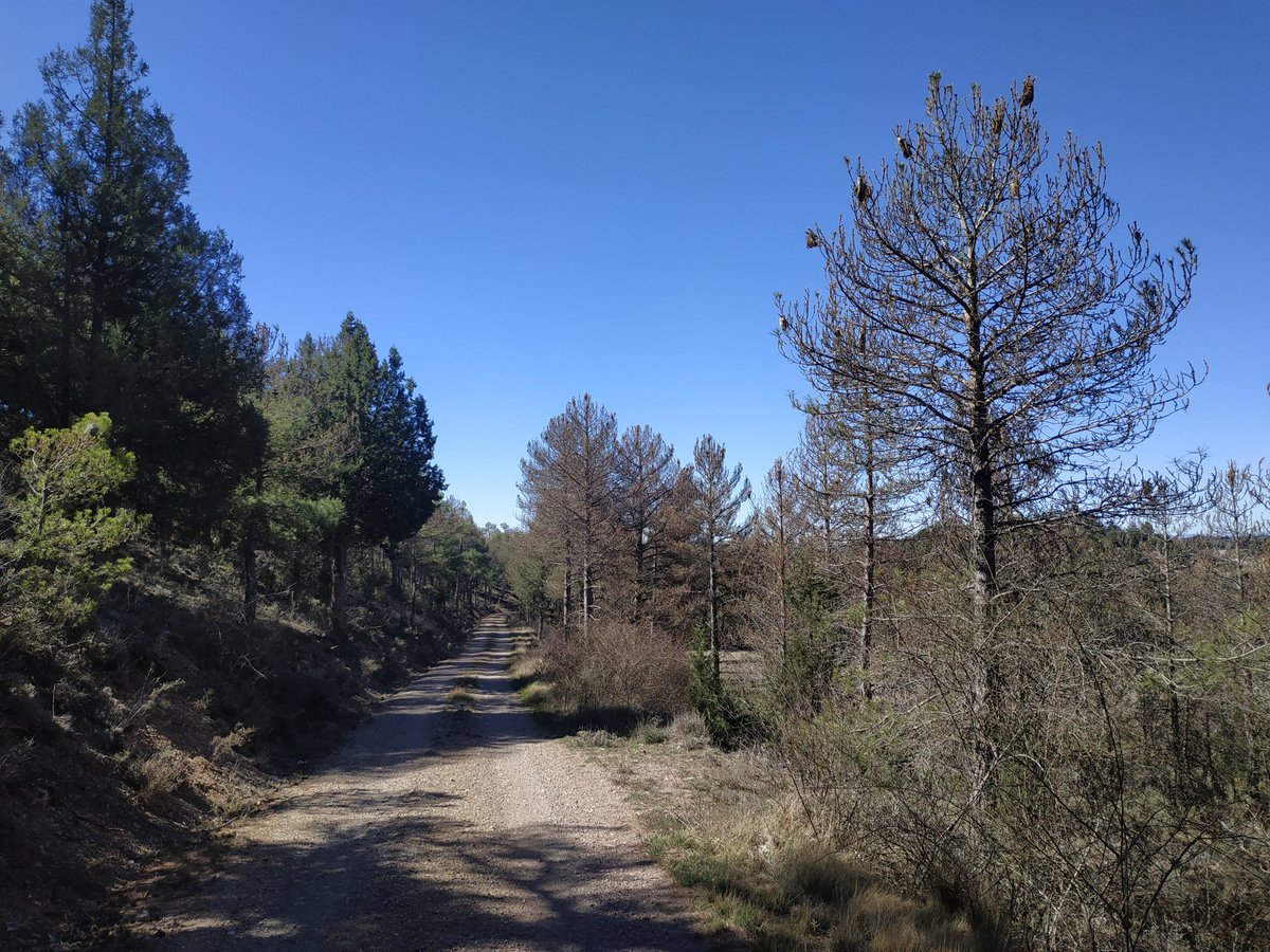 GabriSanguesa's tweet photo. Just shared our first findings from the #PROWARM project at #AEET2023. Exciting times ahead!  🚀 #InsectEcology #EnvironmentalScience https://t.co/7mkkJN5biJ
