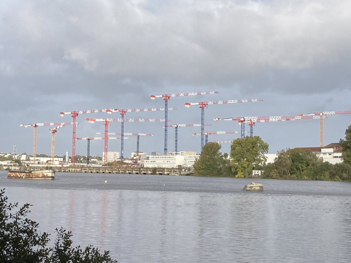 Impressionnant ce nombre de grue au mètre carré pour la construction de l’hôpital de Nantes !

Quelle ineptie ce projet de construire un hôpital sur une île !🤯

« L’homme se croit toujours plus fort que la nature » 

T’en penses quoi  <a href="/Foulques44/">Foulques Chombart de Lauwe</a> ?