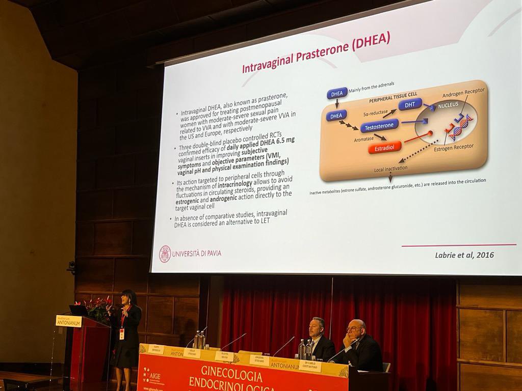 #intracrinology is the importance of sex steroids within the cells…the case of #DHEA in the menopause @IntlMenopause @gynendo @unipv @RossellaNappi
