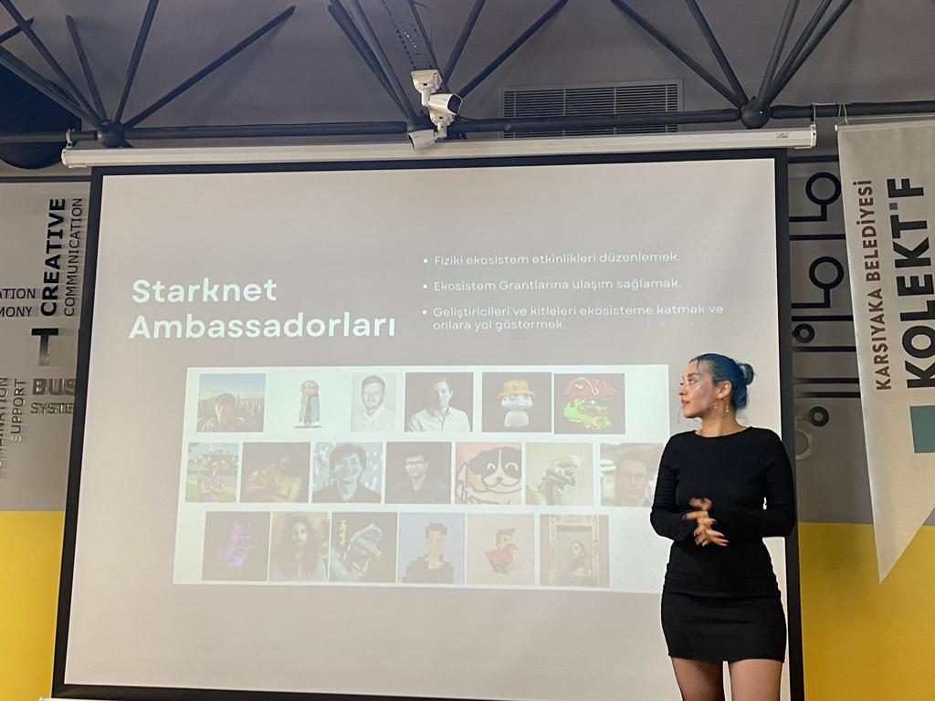 StarkHubTR tweet media