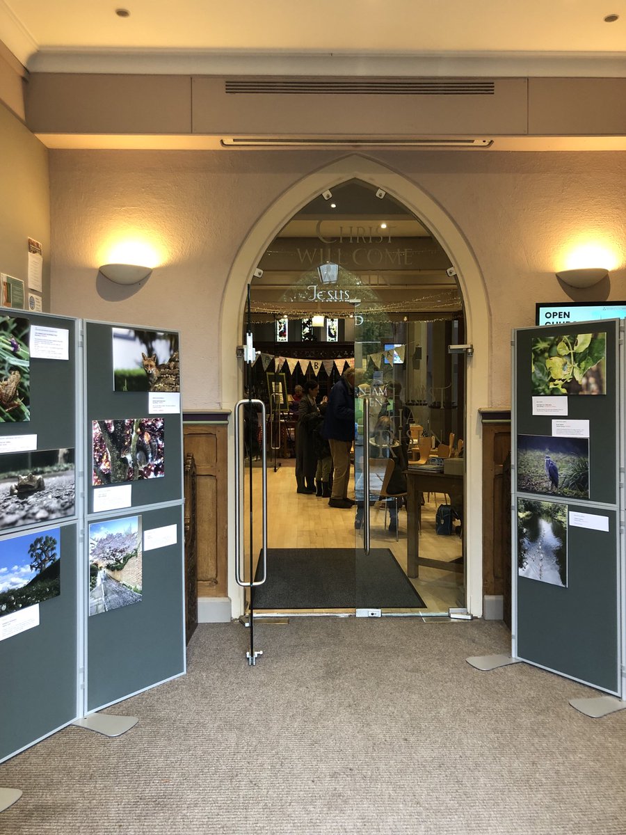 wildchiswick's tweet photo. Delighted to show our photo comp winners ⁦@Chiswickrepair1⁩ Christ Church today.  It was their first year anniversary.  Long may they continue their superb work! https://t.co/INHJbRp5j2