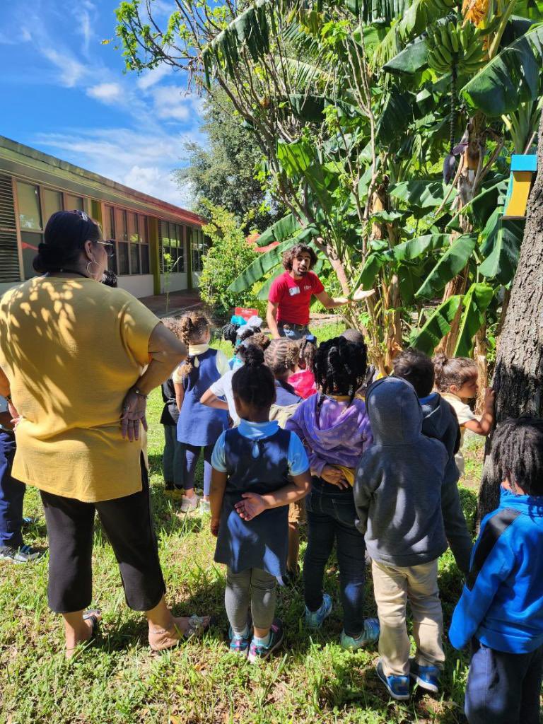 GratignyGators's tweet image. Pre-k Gratigny Gators learning about Bananas in our garden! #MDCPS Your Best Choice
