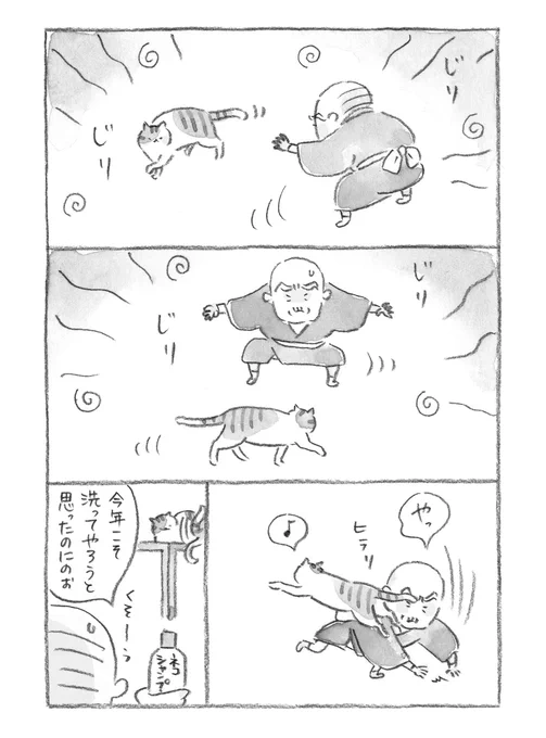 じいちゃんVS にゃんこ 