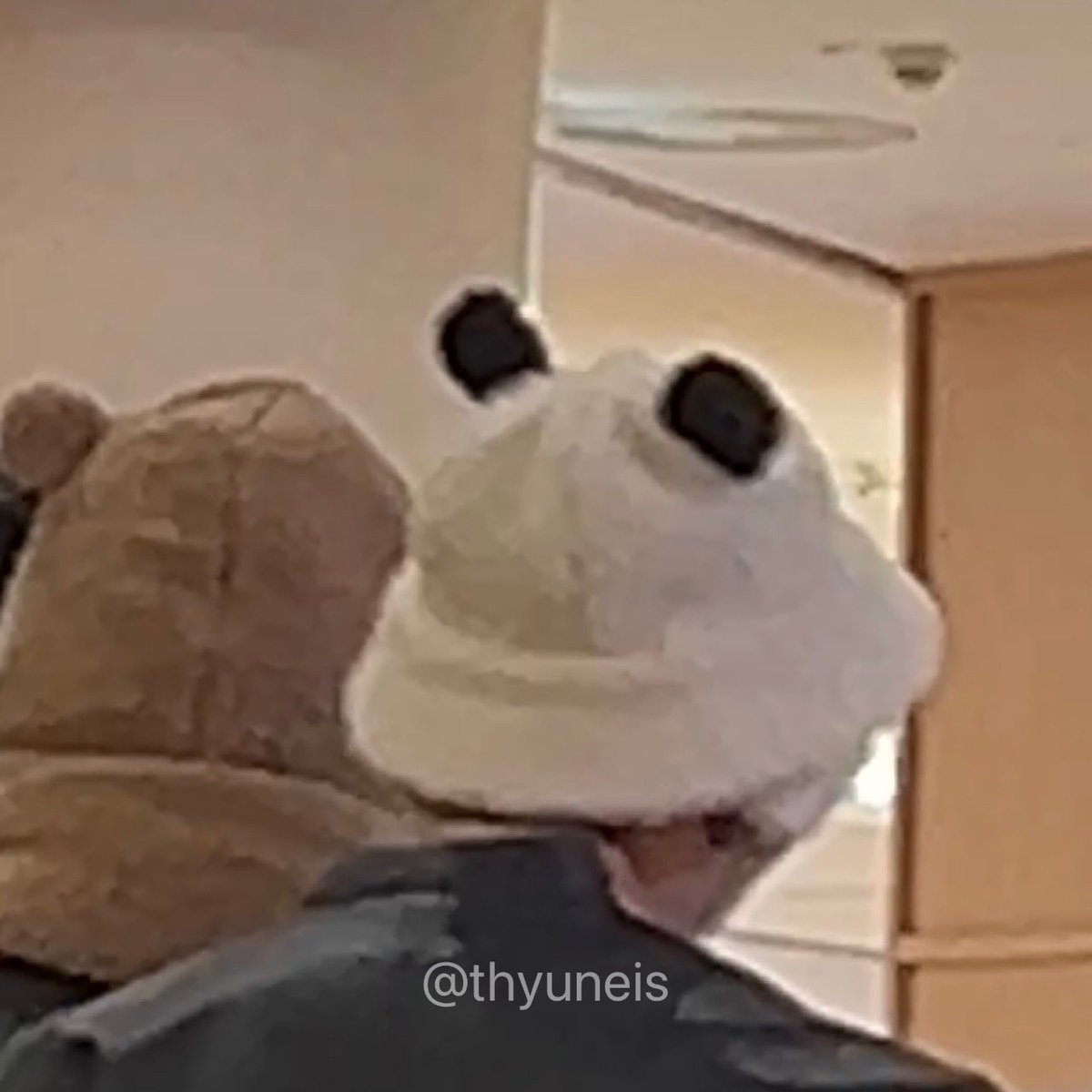 나의 락스타들🩶