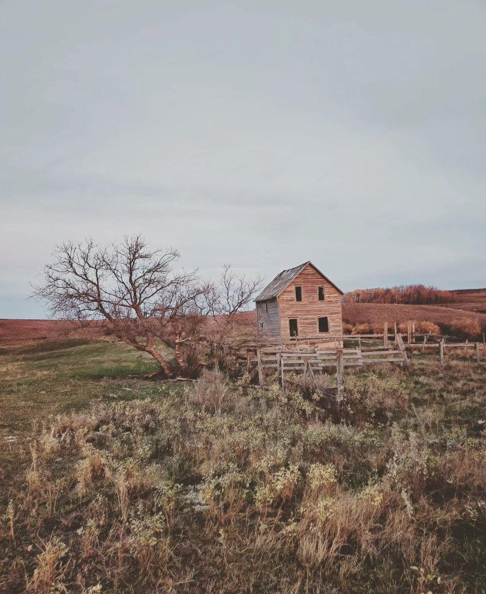 Facing West.
Wonder how many Sunsets this old house has seen?
Many.
#prairielandscapes  #countryroad  #ipulledoverforthis🌄  #mysask  #kisbeysaskatchewan  #pheasantrumpnakotafirstnations #moosemountainssask