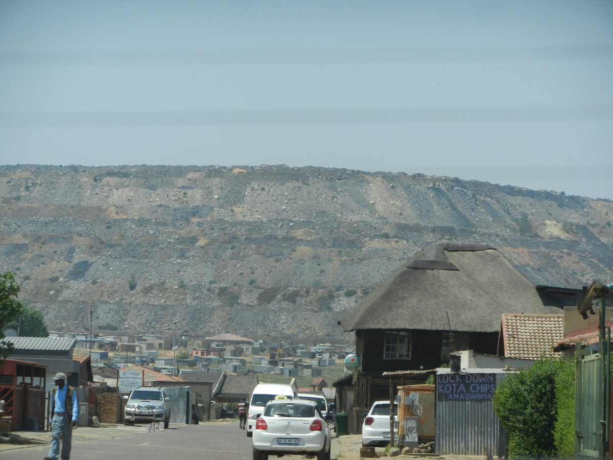 Almut Mohr tweet media