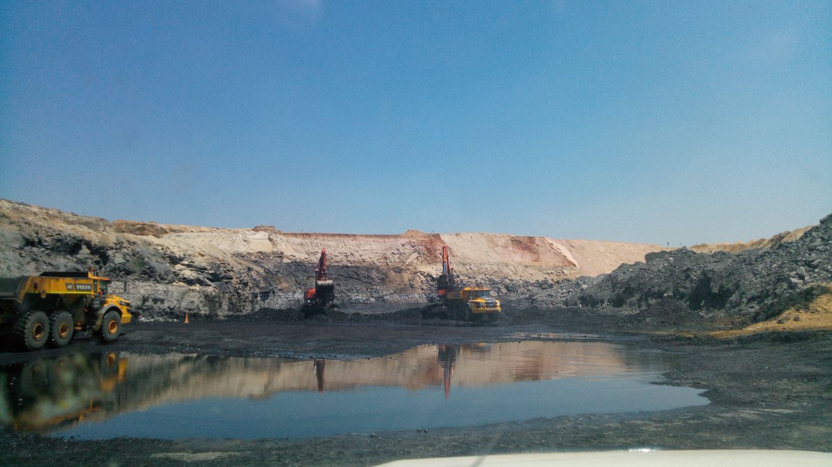 Almut Mohr tweet media