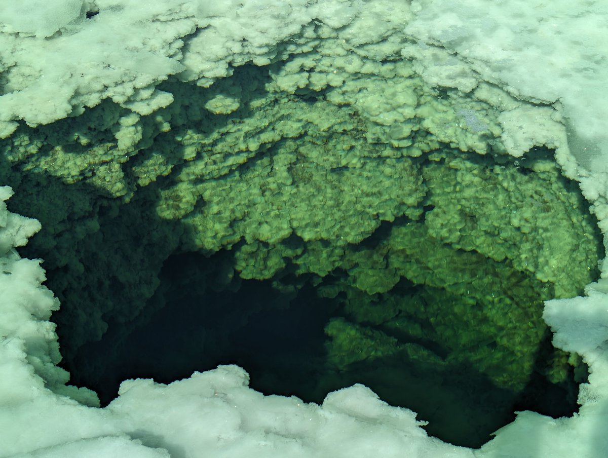 Mojave Wave LLC tweet media