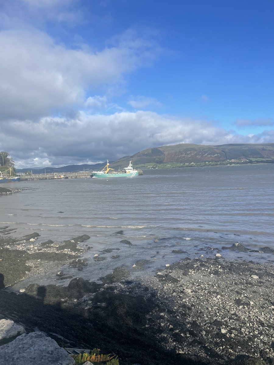 Beautiful morning in Carlingford ⁦<a href="/CarlingfordIRE/">Carlingford Lough</a>⁩
