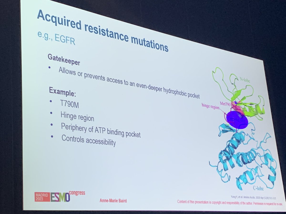 Excellent session #ESMO23 @BairdAM @tcddublin #stopresistance #lungcancer