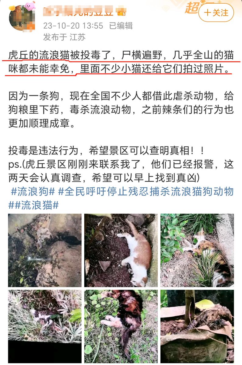 Wowkele8's tweet photo. Some cats was posion by some sick Chinese people in a park https://t.co/CVcziFvwr7