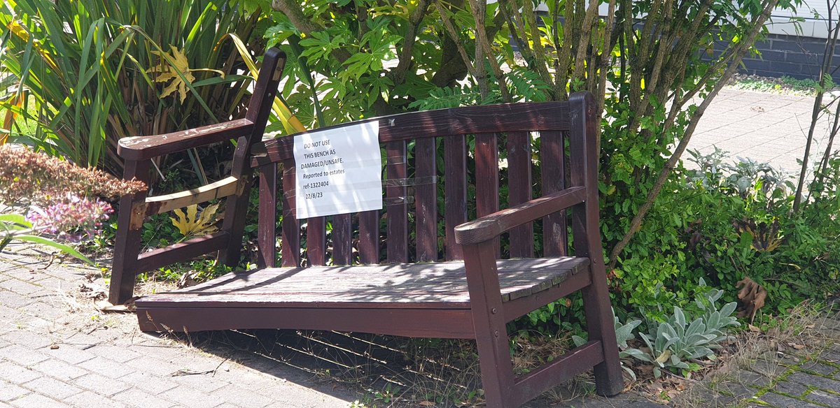 Jamie Sage tweet media