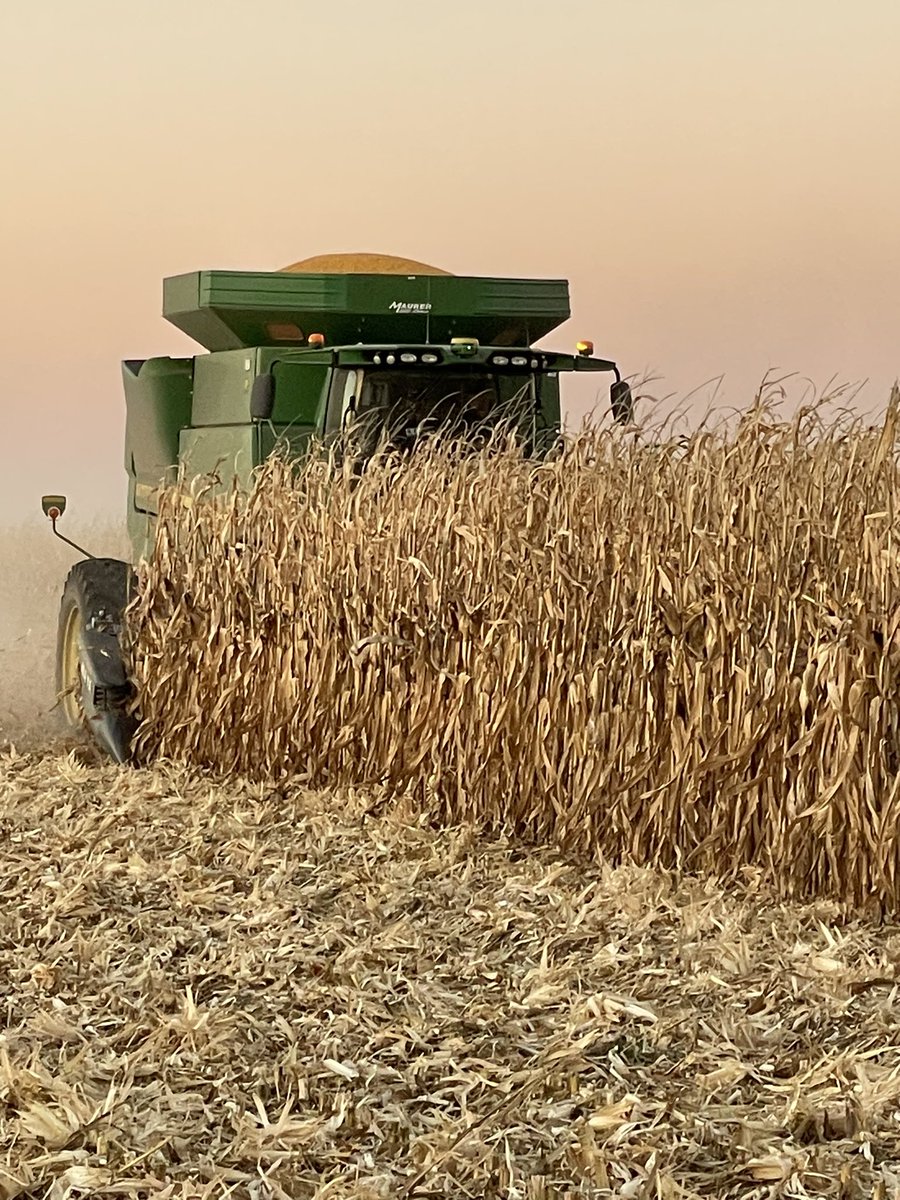 RichVelde's tweet image. We would like to thank @michael_bergen for your partnership with @ChannelSeed Seed Professional @goagservices on a highly successful irrigated grain corn plot.  #VeryThankful