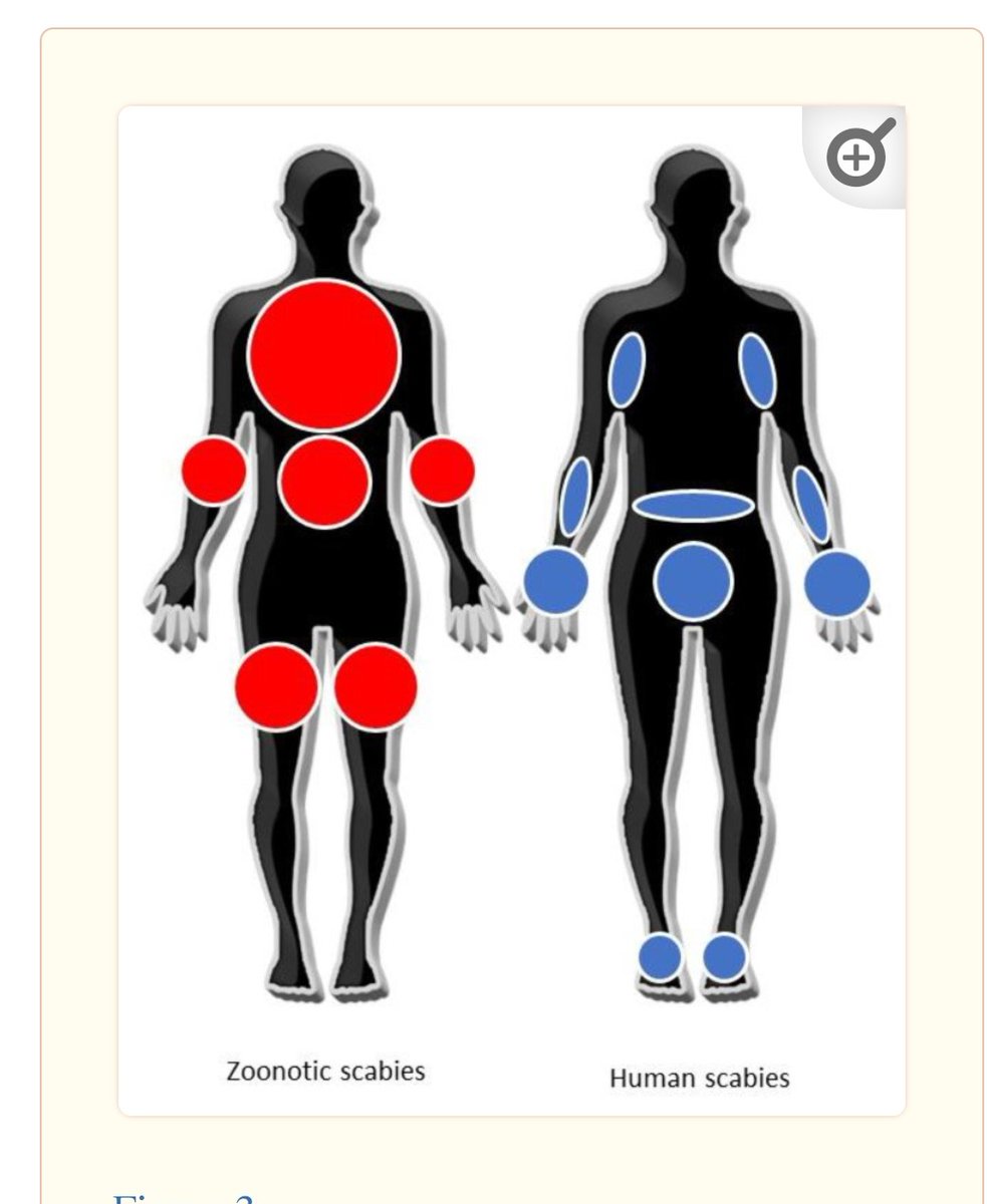 Bir şeyin içerisinde <a href="/esenol/">Esin Davutoğlu Şenol</a> girince kırk kez sorgulayacaksınız. Ne dedi şimdi ?
1- Türkiye yaşam koşulları çok kötü olan bir ülke
2- Bu ülkenin bakanlığı aciz, yetersiz.
3- Ülkede uyuz vakaları çok arttı
4- Allahtan derneklerle bir firma anlaştı da ilaç getirildi. İlaç diyor ad
