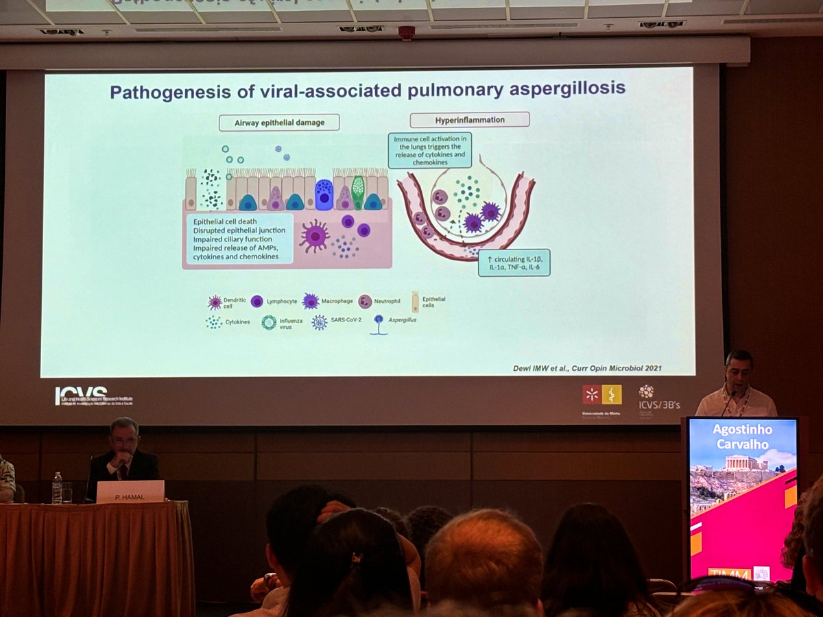 Sarah Dellière is on Bluesky 🦋 tweet media